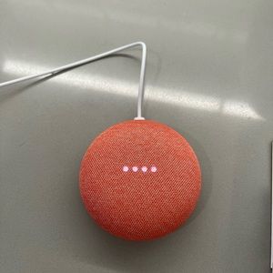 Google Nest Mini
